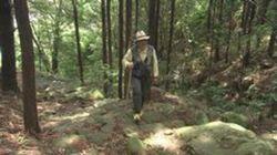 Kumano Kodo Iseji Route Kumano Kodo Iseji Route