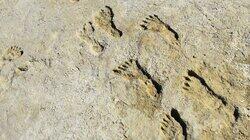 Ice Age Footprints Ice Age Footprints