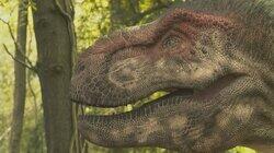 Dinosaur Apocalypse: The New Evidence Dinosaur Apocalypse: The New Evidence