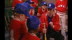 Baseball Blues Baseball Blues