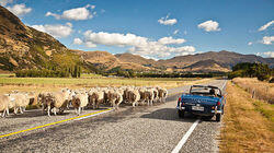 New Zealand - Southern South Island New Zealand - Southern South Island