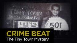 The Tiny Town Mystery The Tiny Town Mystery