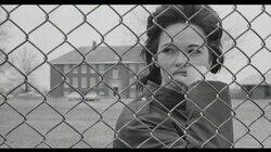 Caged Caged
