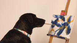Detective Dogs & Truffle Hunting Dogs Detective Dogs & Truffle Hunting Dogs