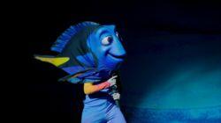 Katie Whetsell: Finding Nemo - The Musical Katie Whetsell: Finding Nemo - The Musical