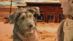Movie Star Dogs & Hounds and Horses Movie Star Dogs & Hounds and Horses
