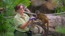 Kris Becker: Animal Keeper Kris Becker: Animal Keeper