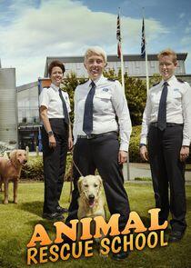 Animal Rescue School Animal Rescue School