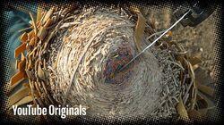 Slicing Rubber Band Ball - Bonus Clip Slicing Rubber Band Ball - Bonus Clip