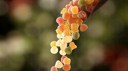 Sugar Sugar