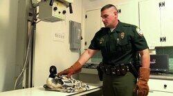 New Hampshire - Manhunt New Hampshire - Manhunt