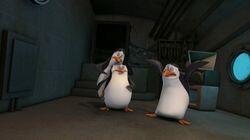 Operation Antarctica Operation Antarctica