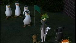 Penguiner Takes All Penguiner Takes All
