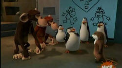 Monkey Love Monkey Love