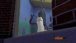 I Know Why the Caged Bird Goes Insane I Know Why the Caged Bird Goes Insane