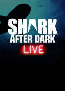 Shark After Dark Shark After Dark