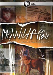 My Wild Affair My Wild Affair