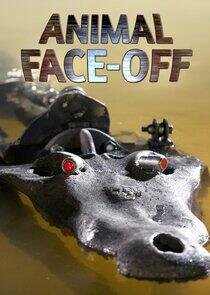Animal Face-Off Animal Face-Off