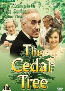 The Cedar Tree The Cedar Tree