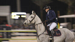 Equestrian Excellence Equestrian Excellence
