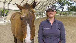 Horses for Heroes Horses for Heroes