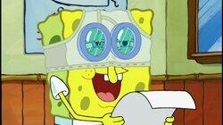 Oral Report Oral Report