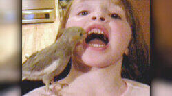 Top 10 Animal Encounters Top 10 Animal Encounters