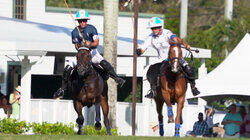 The Polo Life The Polo Life