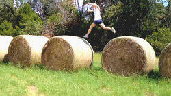 Free Range, Feral, and Fun Free Range, Feral, and Fun