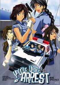 Taiho Shichau zo Special Taiho Shichau zo Special