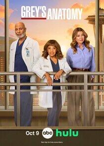 Grey's Anatomy - Season&nbsp;22