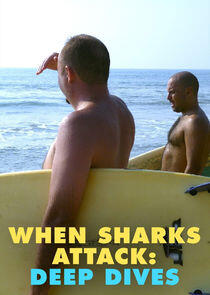 When Sharks Attack: Deep Dives When Sharks Attack: Deep Dives
