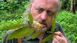 Wallace in Borneo Wallace in Borneo