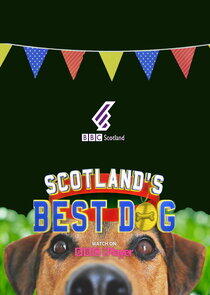 Scotland's Best Dog Scotland's Best Dog
