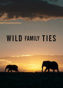 Wild Family Ties Wild Family Ties
