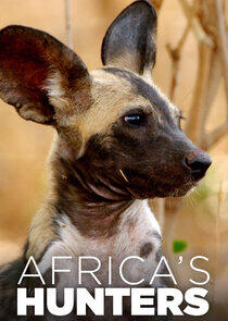 Africa's Hunters Africa's Hunters
