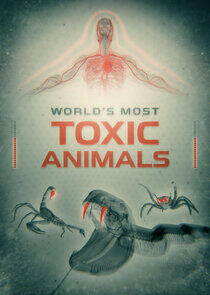 World's Most Toxic Animals World's Most Toxic Animals