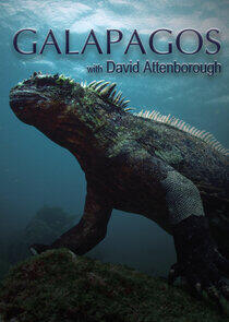 Galapagos with David Attenborough Galapagos with David Attenborough