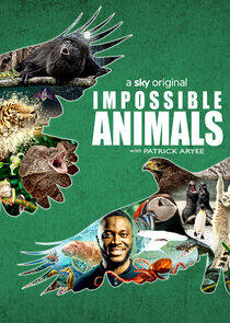 Impossible Animals Impossible Animals