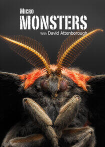 Micro Monsters with David Attenborough Micro Monsters with David Attenborough