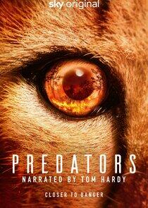 Predators Predators