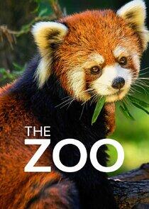 The Zoo The Zoo