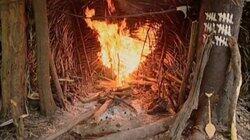 The Amazon Heats Up The Amazon Heats Up