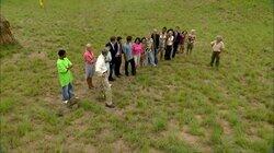 Want to See the Elephant Dung? Want to See the Elephant Dung?