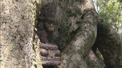 The Hidden Immunity Idol The Hidden Immunity Idol