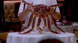 8 Chefs Compete 8 Chefs Compete