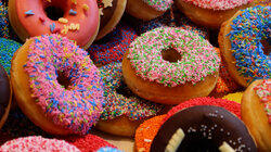 The Donut Revolution The Donut Revolution