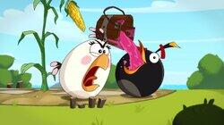 Clash of Corns