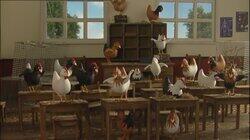 Chickens to School Chickens to School
