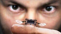 Why Are Scientists Making Robot Insects? Why Are Scientists Making Robot Insects?